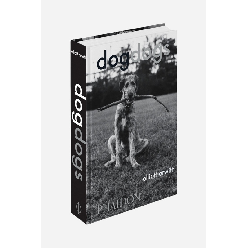DogDogs