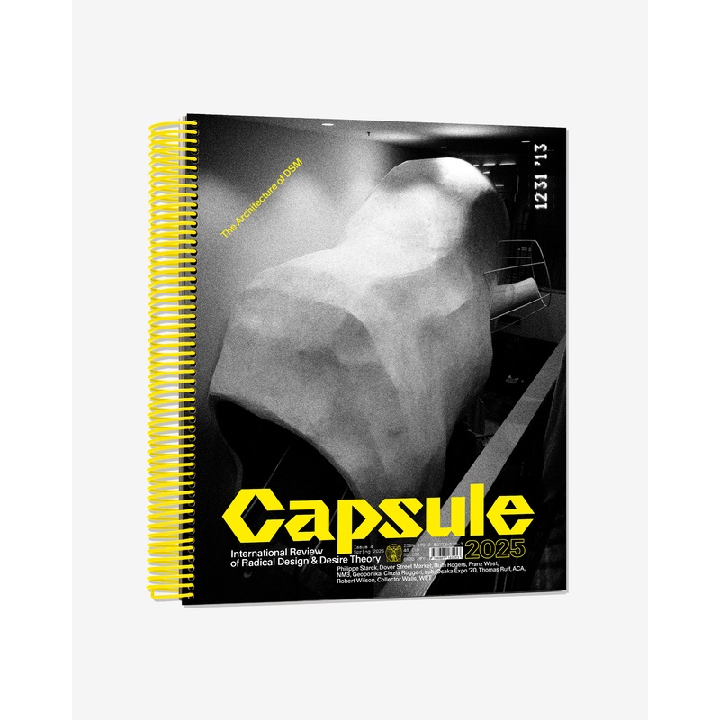 Capsule – Issue 4 The Architecture of DSM – (Multi)